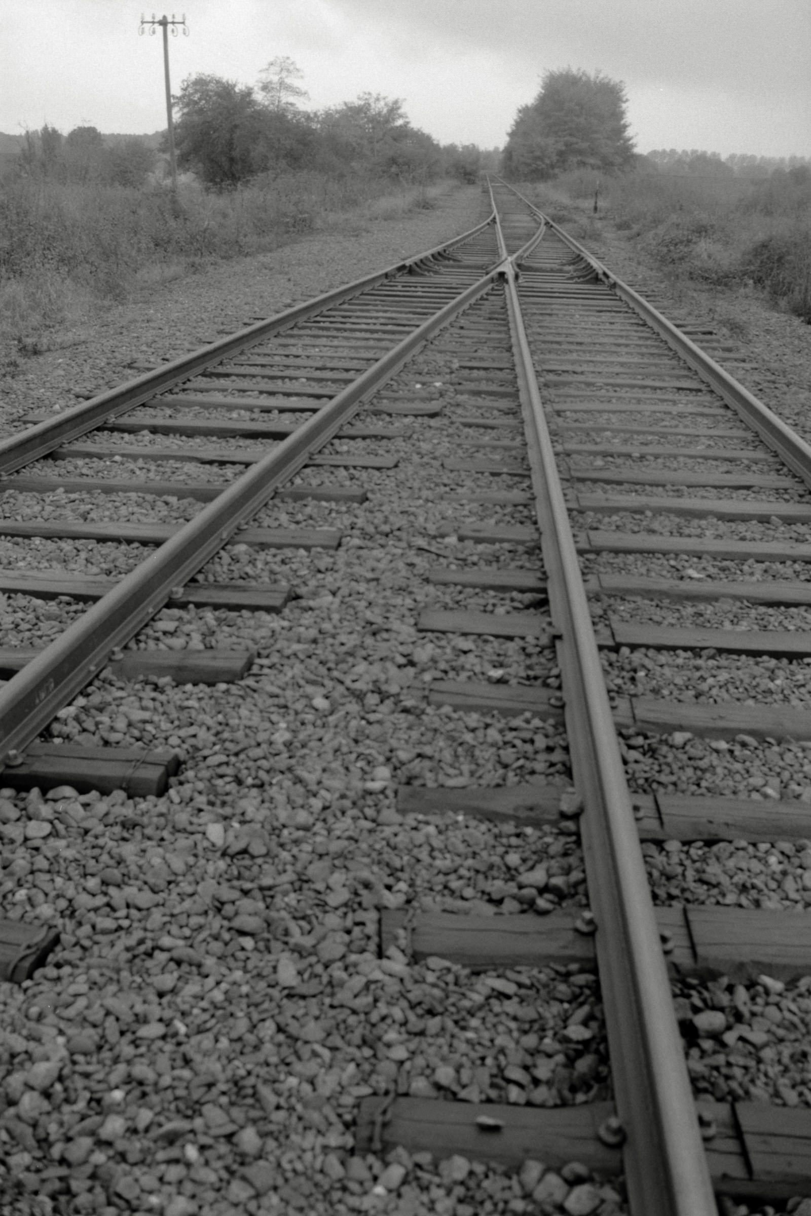 AHP F1990 09 005 sc250506 img09 NLP